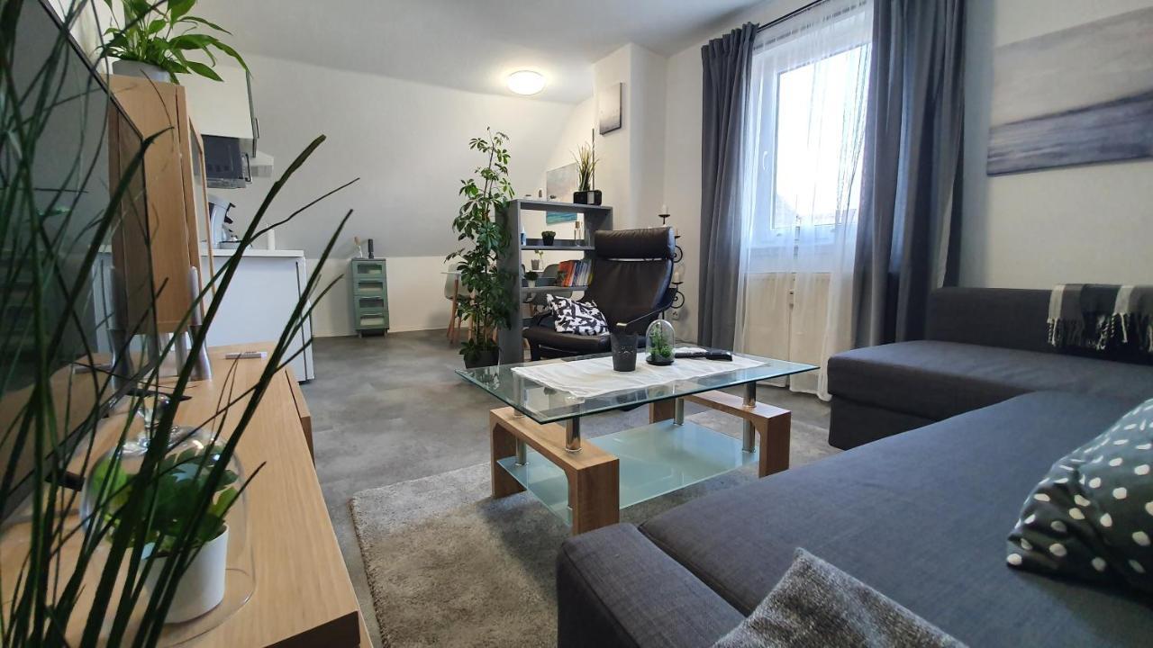 Ferienwohnung Elsa Hungen Extérieur photo